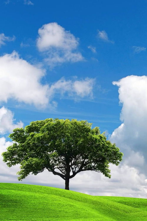 激勵(lì)感情失敗正能量的句子