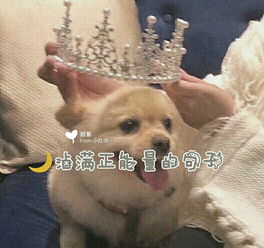 拍發(fā),句子,朋友圈,能量