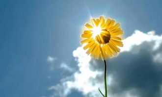 正能量圖便句子