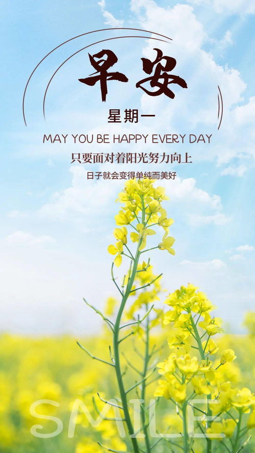 早上好勵(lì)志正能量句子2021,早上好句子正能量,早上好的句子正能量短語