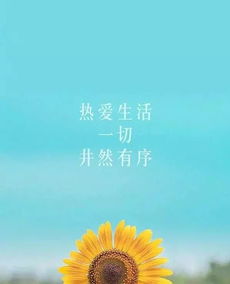 早上發(fā)朋友圈的句子正能量幽默,早上滿滿的正能量句子,早上問好的正能量句子