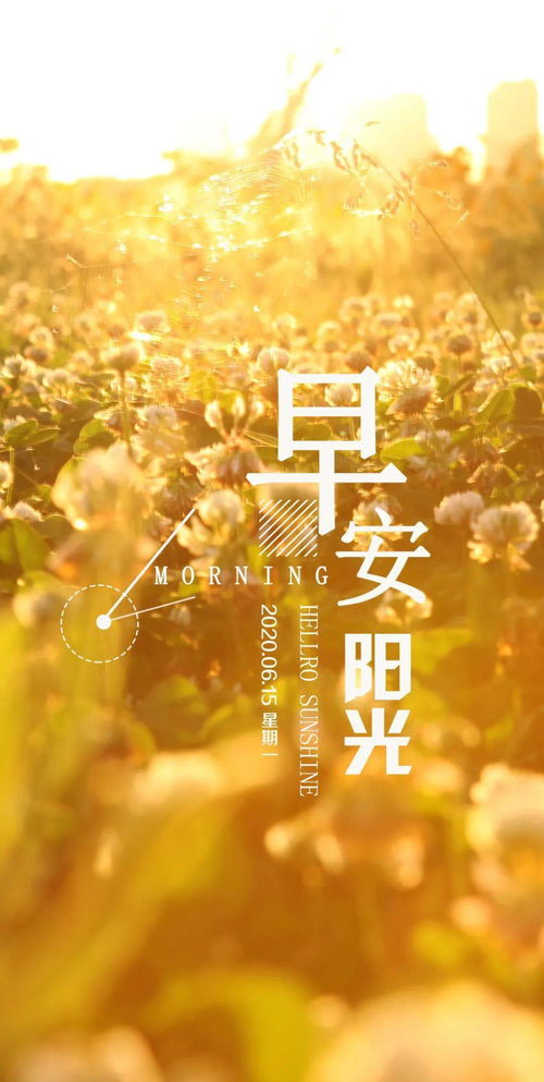 發(fā)表正能量的句子,熱愛祖國正能量的句子,熱愛生活正能量的句子