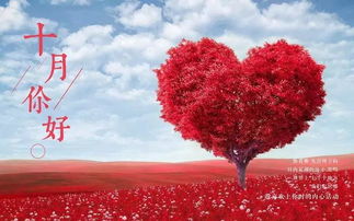 正能量的句子經(jīng)典語(yǔ)句,志愿者正能量的句子經(jīng)典語(yǔ)句,追星正能量的句子經(jīng)典語(yǔ)句