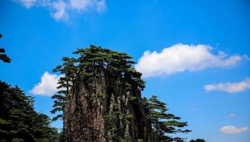 吸收靠近正能量的句子