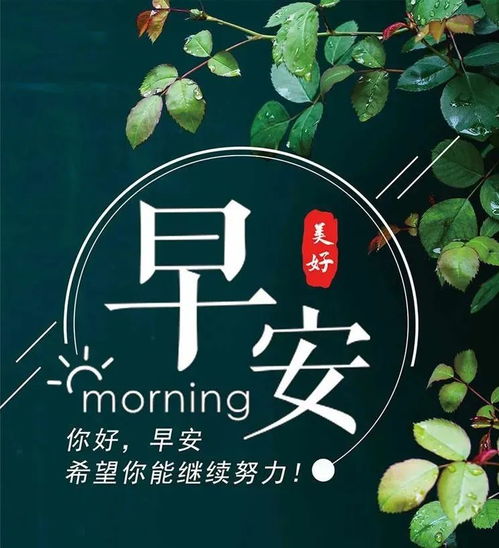 早餐正能量句子勵(lì)志,勵(lì)志的早餐心語(yǔ)正能量句子(2),早餐早安正能量句子