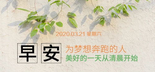 關于努力工作正能量的句子大全,春天勵志正能量的句子,每天勵志正能量的句子大全