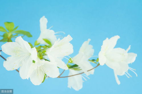 青春向上正能量的句子簡短