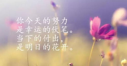 早安勵(lì)志正能量滿滿的句子朋友圈,早安勵(lì)志正能量滿滿的句子簡(jiǎn)短,早安勵(lì)志正能量滿滿的句子短語(yǔ)