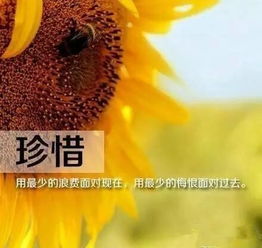 早安正能量經(jīng)典語句微商早安勵(lì)志句子