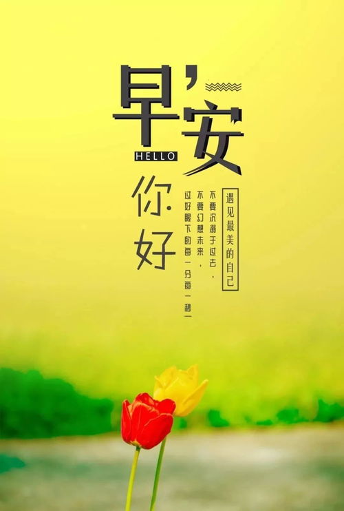 早安,句子,勵(lì)志,能量