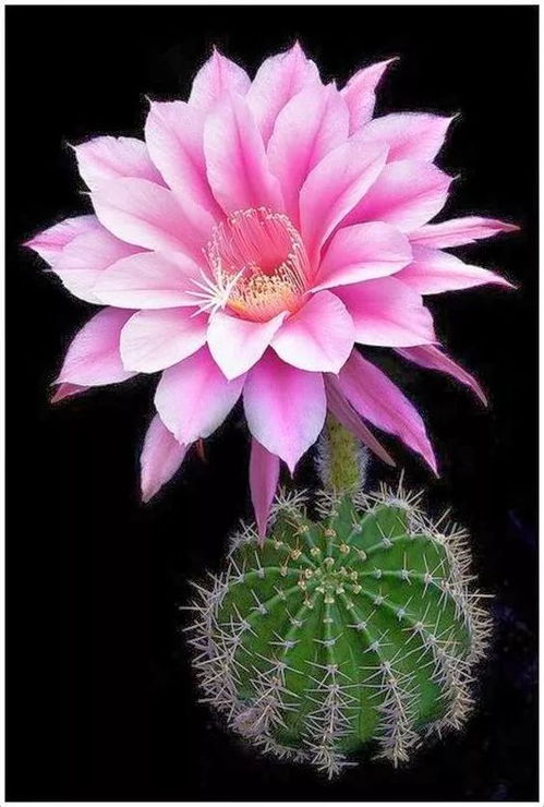 釋然,句子,能量,瞬間