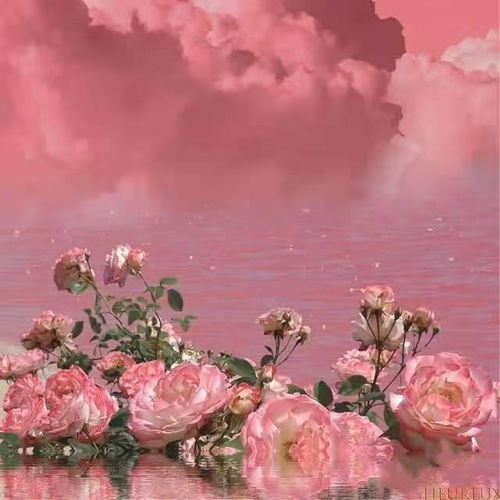 溫柔又暖的正能量句子,溫柔又暖的正能量句子8個(gè)字,極致正能量的短句子