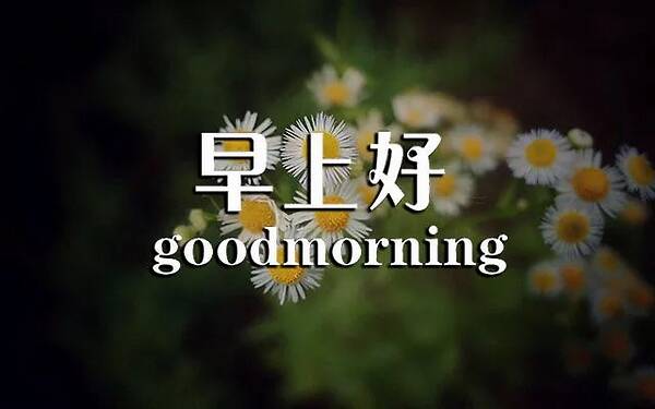 早安,簡短,句子,心語