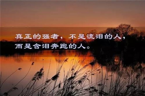 傷心帶有正能量的句子