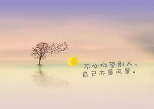 游泳正能量的句子短句,積極向上正能量的句子短句,陽光心態(tài)正能量的句子短句