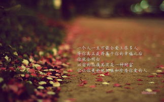 句子,關(guān)愛,能量,老人