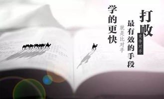 英語,句子,能量,努力