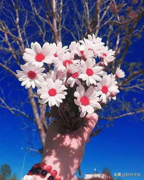 形容自信滿(mǎn)滿(mǎn)正能量的句子