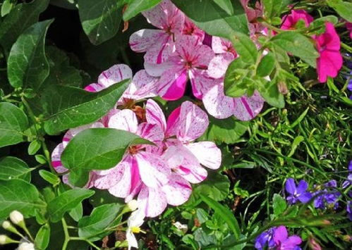 雨天女人正能量陽光句子