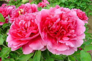 描寫(xiě)正能量的優(yōu)美句子,描寫(xiě)老同志正能量的句子,描寫(xiě)鍛煉身體正能量的句子