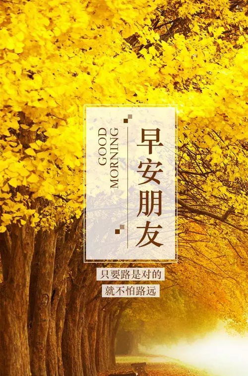 熱愛祖國正能量的句子,陽光正能量的句子,晚安正能量句子