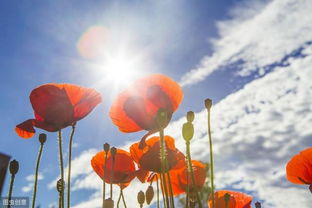 關(guān)于醫(yī)生加班的正能量句子