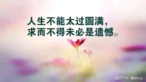 句子,個性簽名,能量,人生感悟