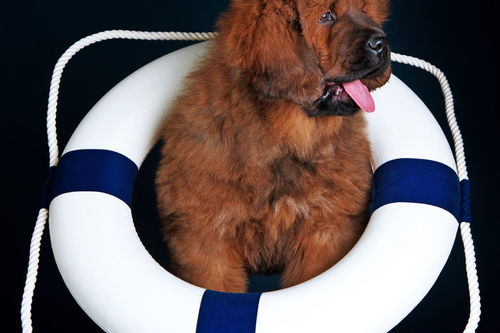 具有正能量的句子15個(gè)字的