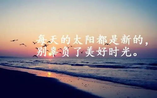 句子,能量,男孩,經(jīng)典語錄