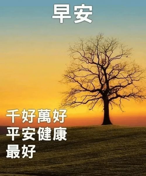微信陽(yáng)光正能量的句子,微信朋友圈正能量的句子,微信正能量勵(lì)志的句子