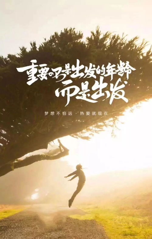 不抱怨正能量的句子經(jīng)典語句,正能量的句子經(jīng)典語句,志愿者正能量的句子經(jīng)典語句