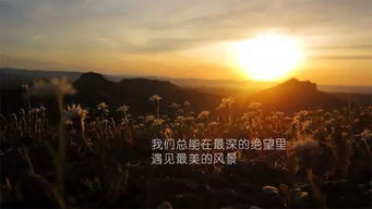 英文,句子,勵志,能量