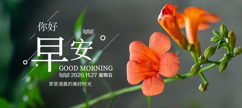 早上發(fā)朋友圈的句子正能量早上好