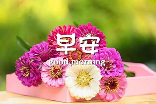 早安幽默正能量的句子說說心情,早安正能量的句子說說2021年,早安正能量的朋友圈說說的句子