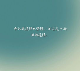 句子,能量,抓住,等待