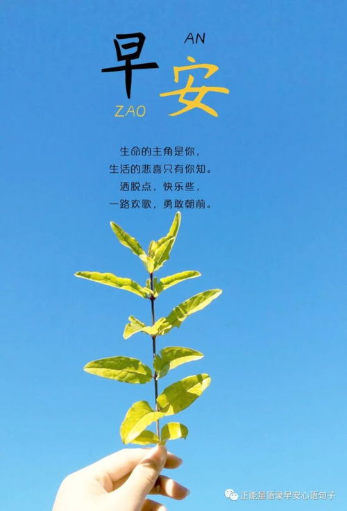 早安,上進,句子,激勵