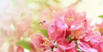 生活簡單美好的句子生活美好的說說,生活簡單美好的句子,拿去發(fā)朋友圈吧,田園生活簡單美好的句子