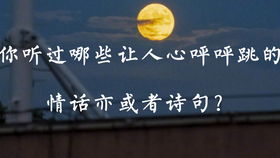 適合銷售員工正能量的句子