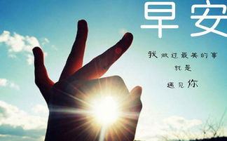 句子,能量,感謝,客戶