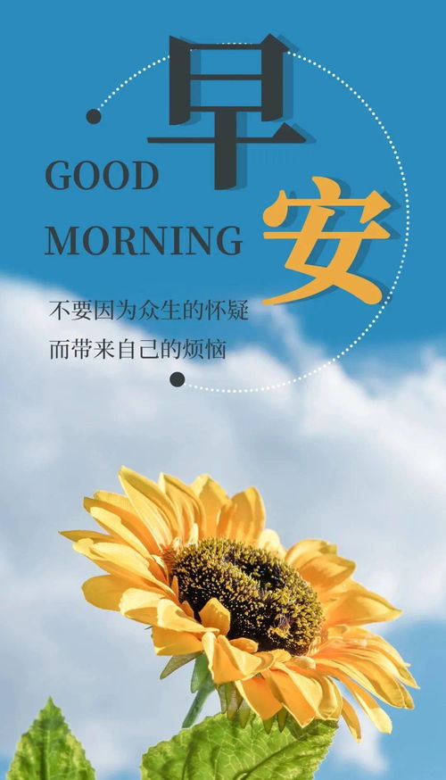 新的一天新的希望正能量的句子,新的一天滿滿的正能量的句子,新的一天充滿陽光正能量的句子