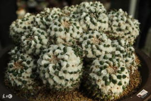 銷售專員正能量句子