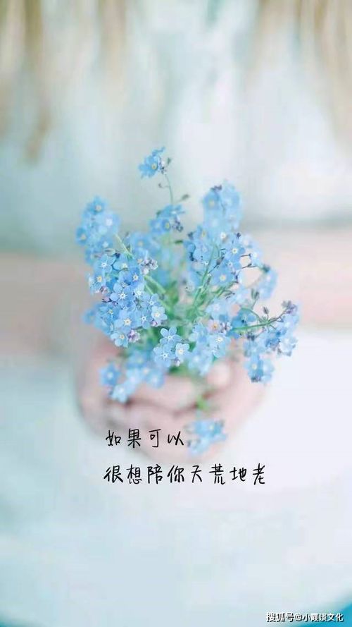 歲月正能量句子說說心情