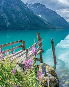 好心態(tài)的長句子正能量