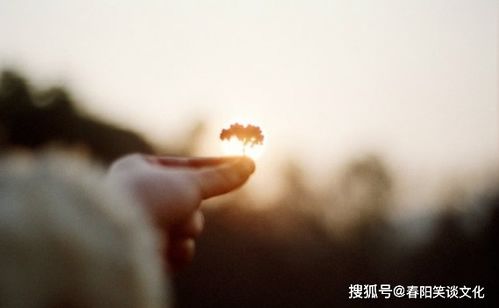 特別可愛又特別正能量的句子