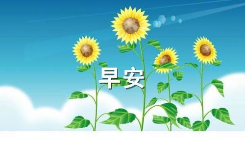 句子,能量,充滿,陽光