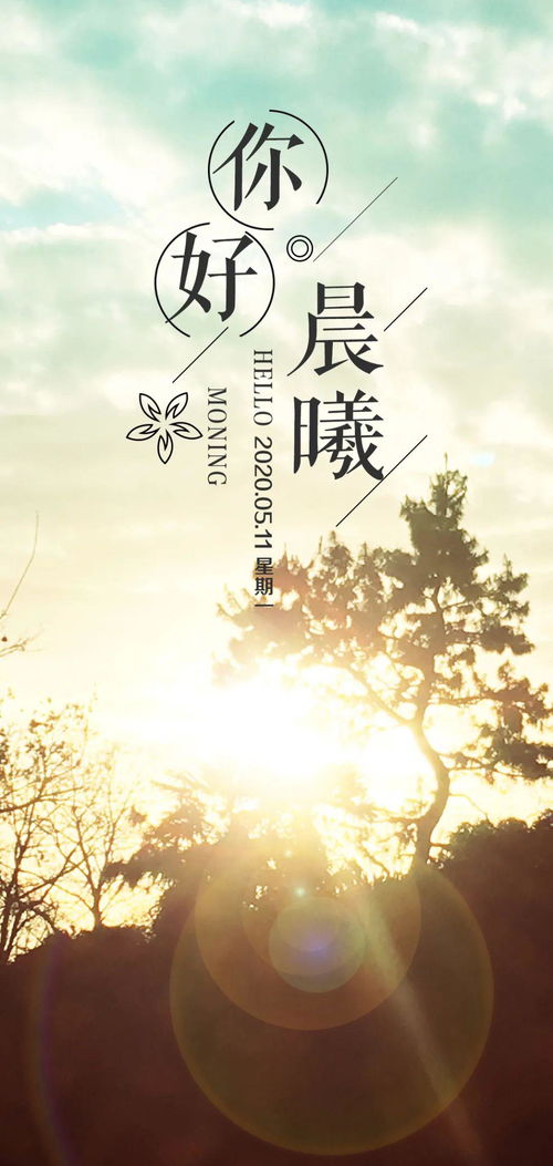 陽光心態(tài)正能量的句子,朋友圈正能量的句子和,早安正能量句子和