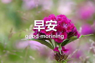 句子,能量,愛(ài)情,抖音里