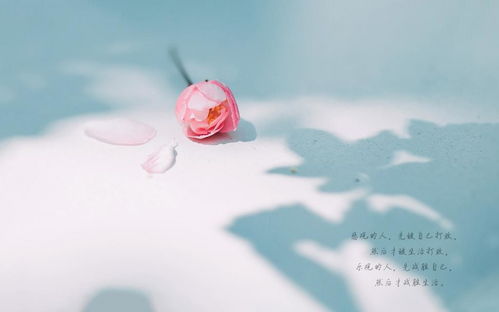 鼓勵早安心語正能量句子