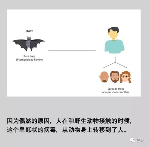 句子,能量,冠狀病毒