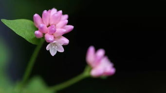 早上正能量滿滿的朋友圈的句子簡(jiǎn)單,早安正能量滿滿的句子朋友圈,早安勵(lì)志正能量滿滿的句子朋友圈